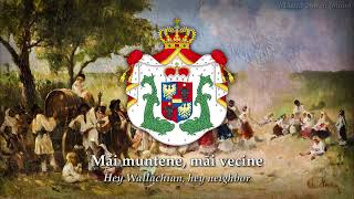 Hora Unirii Dance Of The Union - Romanian Patriotic Song On The Unification