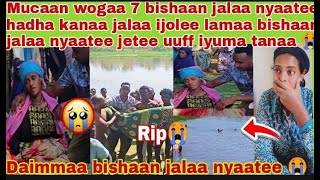 Download Lagu 📌😭Uffff #ijolee lamaa bishaan jalaa nyaatee bayee namaa gadisisaa maloo waqayyoo obsa siifin haa ken MP3