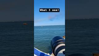 Red Arrows Diamond 9 Flyby | Phone vs 200mm #airshow #redarrows #comparison