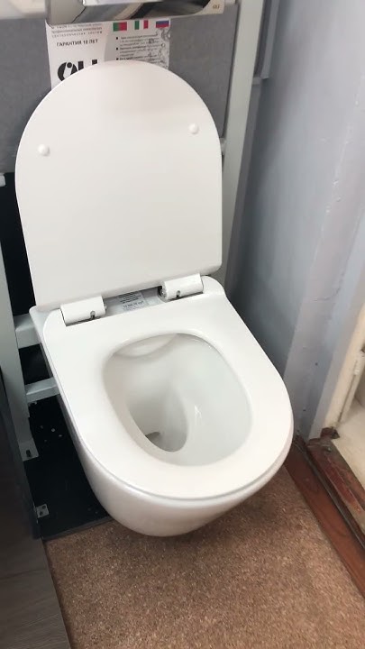 Bahenberg/Lasberg Унитаз подвесной безободковый со стульчаком дюропласт ...