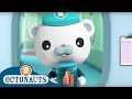 Octonauts -  Learning from Sea Creature Friends | Cartoons for Kids | Underwater Sea Education