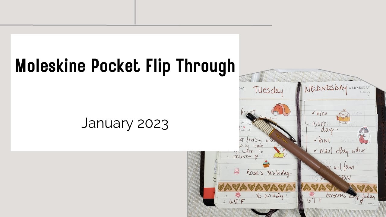 Moleskine Pocket Daily Planner Flip Through January 2023 moleskine