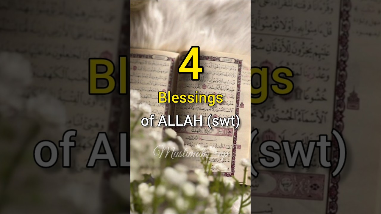 4 blessings of Allah (swt)✅💞 