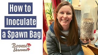 How to Inoculate a Spawn Bag with Agar