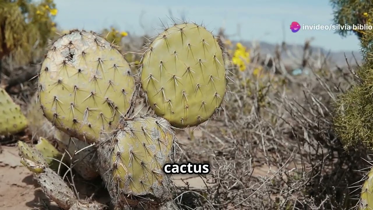 La naturaleza y Costa Rica