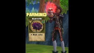 Farming Black Lotus and Black Pearls | Wizard101