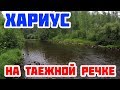 Одиночная рыбалка по-братски. Таежная речка. Хариус