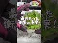 最近知った衝撃の事実!オルトランって実は・・・😨💦【多肉植物】今日のや肉事sm132 #365日多肉生活#多肉植物無人販売販売中