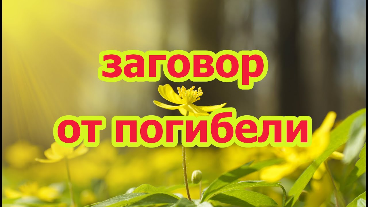 Защита машины заговор
