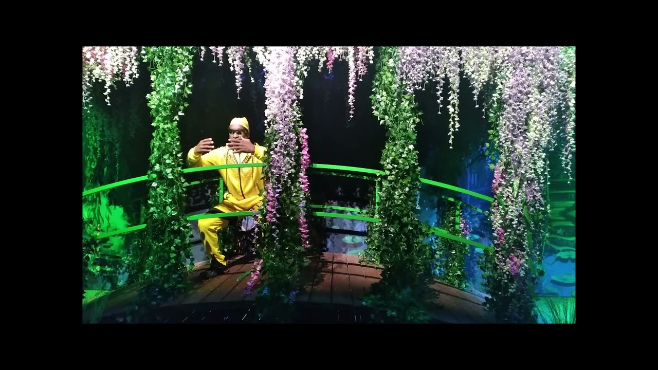 Tai Chi Qigong meets Claude Monet Exhibit