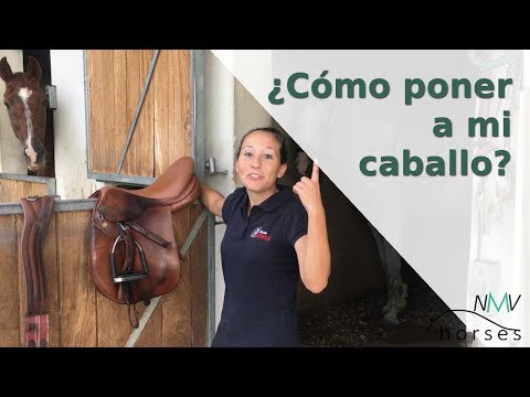 Vídeo: Com Preparar-se Per Muntar A Cavall