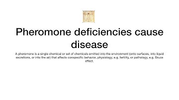 Pheromone Presentation w:BBC   HD 720p