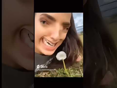 Oh Look A Dandelion Meme Normal Reversed Meme Dandelion Season Shorts