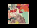 CARIBOU - Barnowl