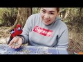 Life in Australia - PICNIC WITH THE KING PARROTS & CRIMSON ROSELLAS, Vic Australia