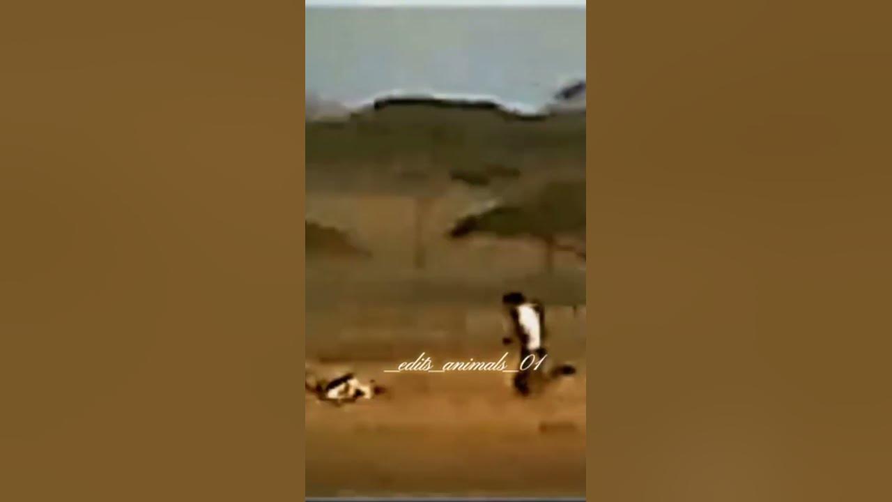A man overtook a cheetah 😈 || faster than cheetah || #youtubeshorts #