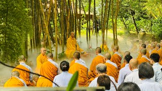 NIKAYA Khất Thực - Thiền Quán Thế Tôn Ơi ! Con Đã Về Trúc Lâm Tinh Xá 5  ( XGGD10 )