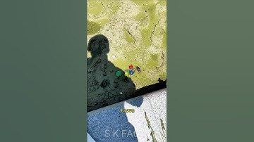 What was this lying in the mud?