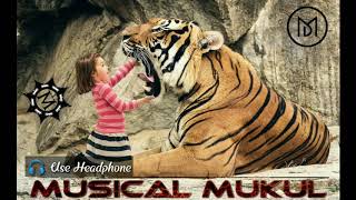 Benjo Mix_Tiger Dance - Sher baja (Dj Yashwant) || Musical Mukul