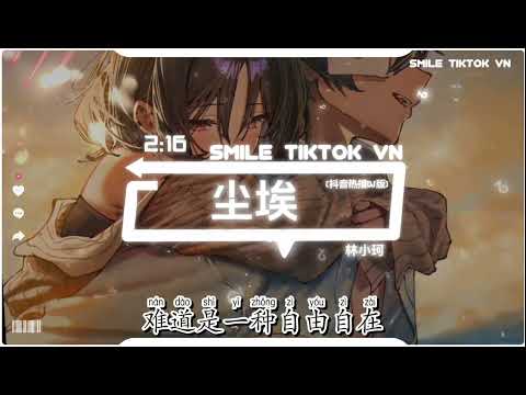 林小珂 - 尘埃 (抖音热播DJ版) Cát Bụi (Remix) - Lâm Tiểu Kha 『我的爱像尘埃散落在边疆地带，不再对谁期待』【2k25抖音火流行歌曲推荐TikTok】