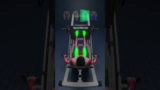 Your Foot Placement Changes Everything on Leg Press 👀