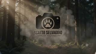 Intro del canale