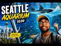 Face to Face with Sharks in Seattle! 🦈🔥“THIS WAS CRAZY!” 🤯