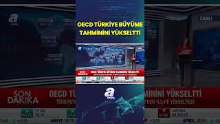 Oecd Türkiye Büyüme Tahmini %3,2Den %3,4E Yükseltti