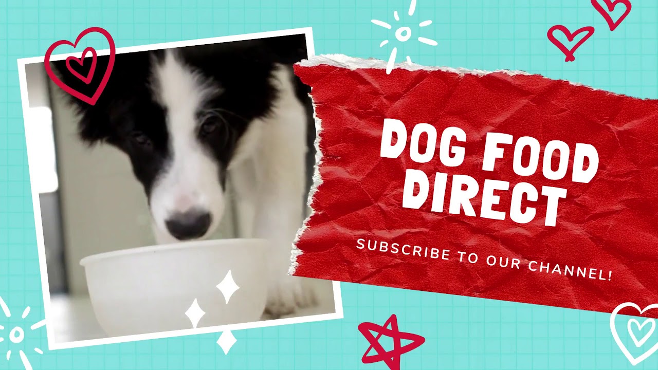 Dog Food Direct Your Online Pet Supply Since 1987 YouTube Dog Food Direct Your Online Pet Supply Since 1987 YouTube
