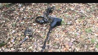 AT Pro Finds Coin Spill In The Woods ! | Nugget Noggin