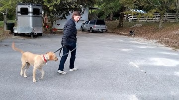 Jake Intro to Prong and Heel