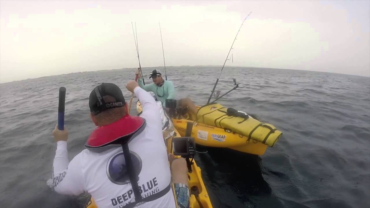 Kayak Mahi Mahi and Sailfish YouTube