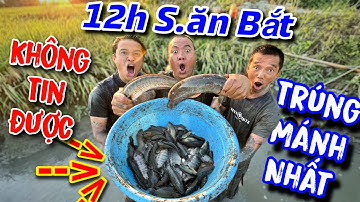 Thánh xàm không thể tin được một ngày ra đồng mò cá hốt trọn ổ cá lóc nướng trui ăn tại chỗ cực ngon