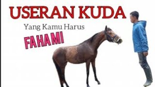 Memilih USERAN KUDA vs POSTUR atau Garis KETURUNAN ?