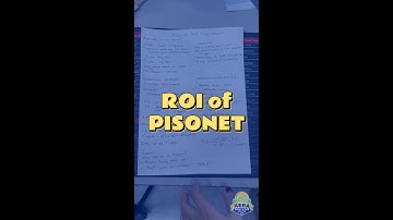 ROI Computation of PISONET Business