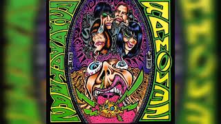 RAMONES - My Back Pages (best guitar backing track with original vocals)