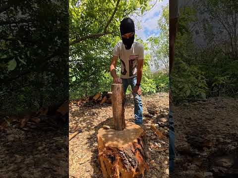 رح أجرب أقطع حطب بإيد وحدة طبيعة حطب خشب أشجار فأس