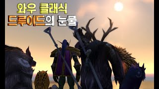 [와우 클래식]드루이드의 마지막 눈물