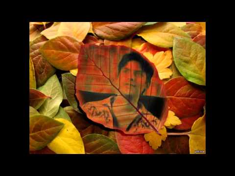 Hum Jo Chalne Lage (Aao Meelon Chalen) Full Hd
