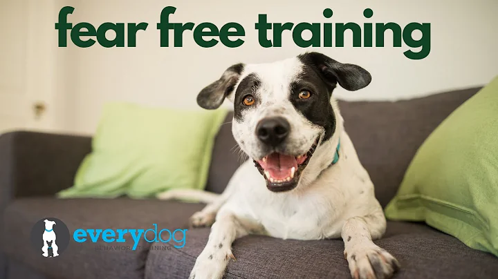Dog Training Without Fear: Everyday Solutions For a Fear Free Pet