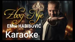 Emir Habibovic - Zbog Nje Karaoke