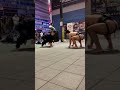 マジシャンが元大相撲力士(ごっちゃんこさん)と相撲した結果