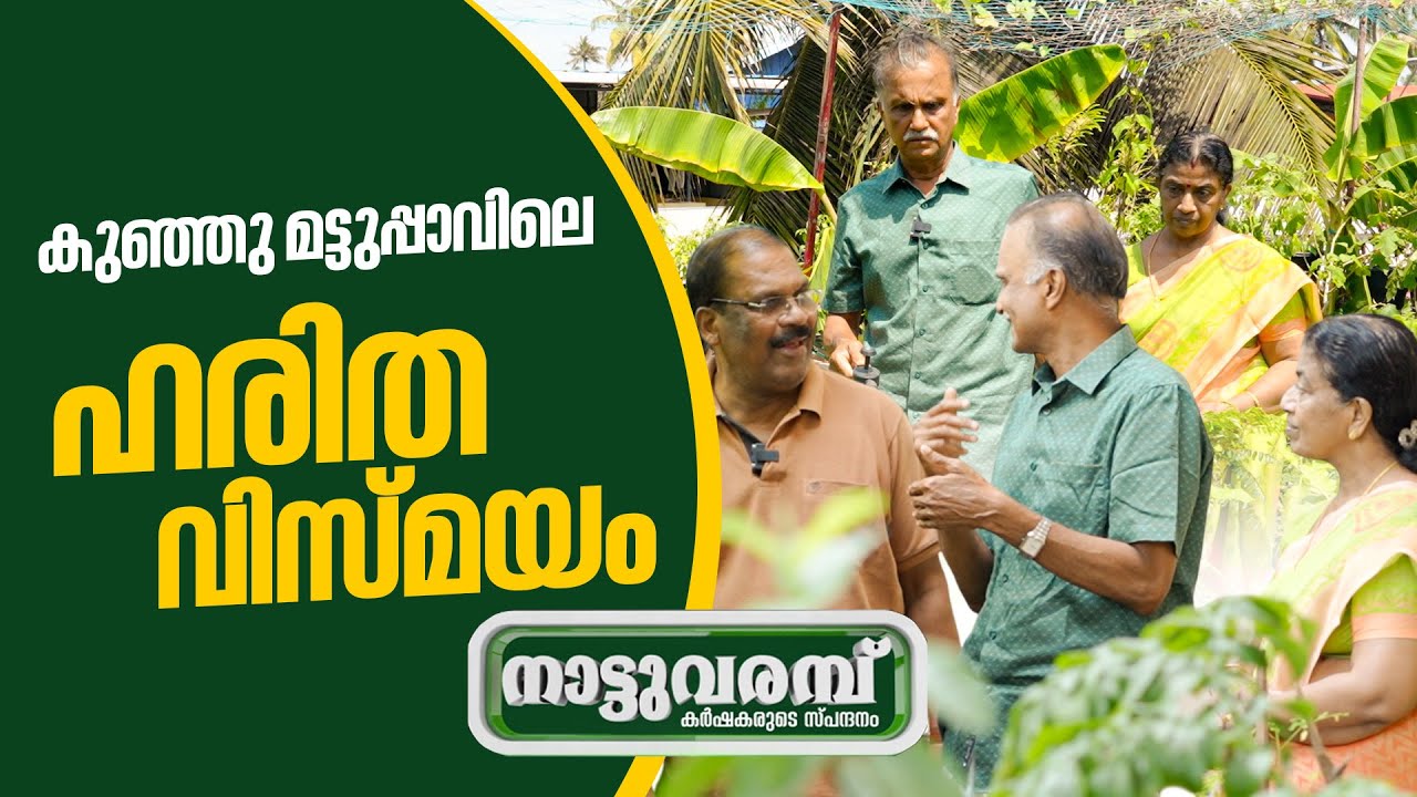 കുഞ്ഞു മട്ടുപ്പാവിലെ ഹരിത വിസ്മയം | Terrace farming | Organic farming | നാട്ടുവരമ്പ് | NATTUVARAMBU