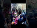 श्री बांके बिहारी लाल की जय 🙏🙏#vrindavan #popular #school #song #mathura #india #god