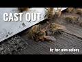 Cast Out by Her Own Colony: A Queen Bee's Fate