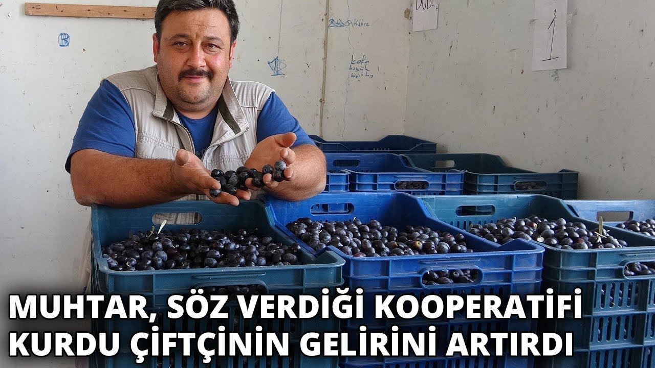 Muhtar, söz verdiği kooperatifi kurdu çiftçinin gelirini artırdı