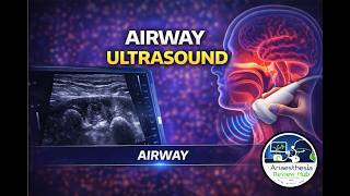 Airway Ultrasound | Point-of-Care Airway Assessment | Airway | Anaesthesia Review Hub screenshot 3