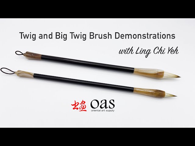 洋書 Brush With Gondwana sddefault.jpg
