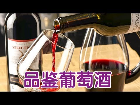 从葡萄酒小白到专家 只有10分钟的距离（如何品鉴葡萄酒）