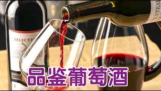 从葡萄酒小白到专家 只有10分钟的距离（如何品鉴葡萄酒）